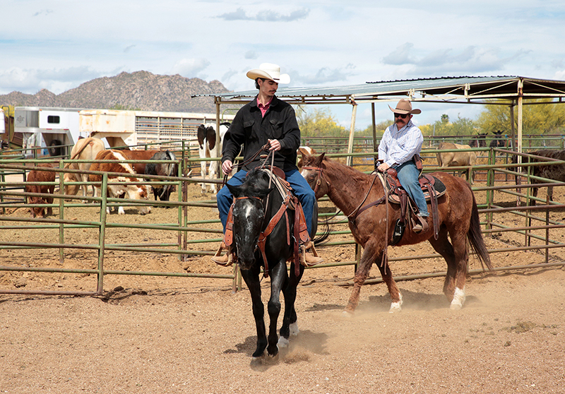 Arizona Cowboy College : Arizona : Richard Moore : Photographer